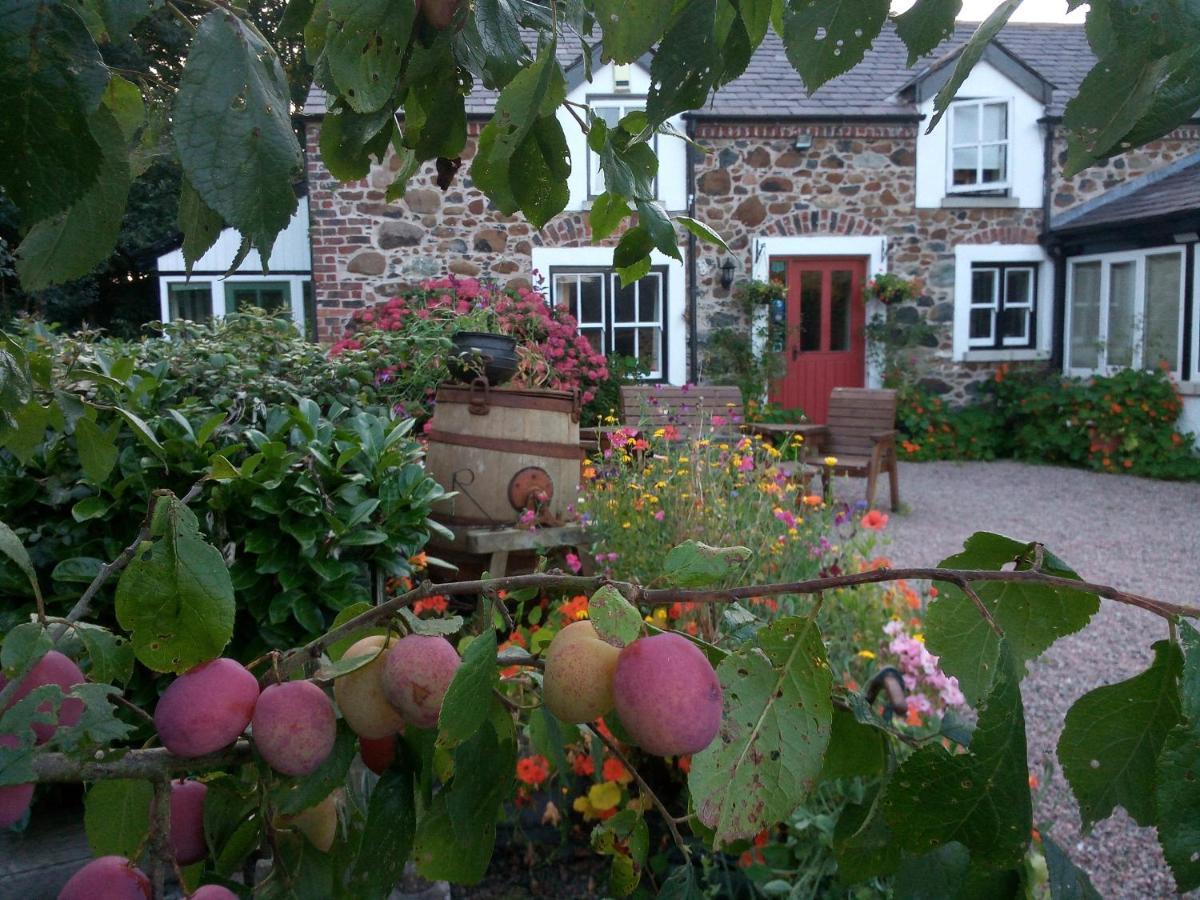Berwick Hall Cottage مويْرا المظهر الخارجي الصورة